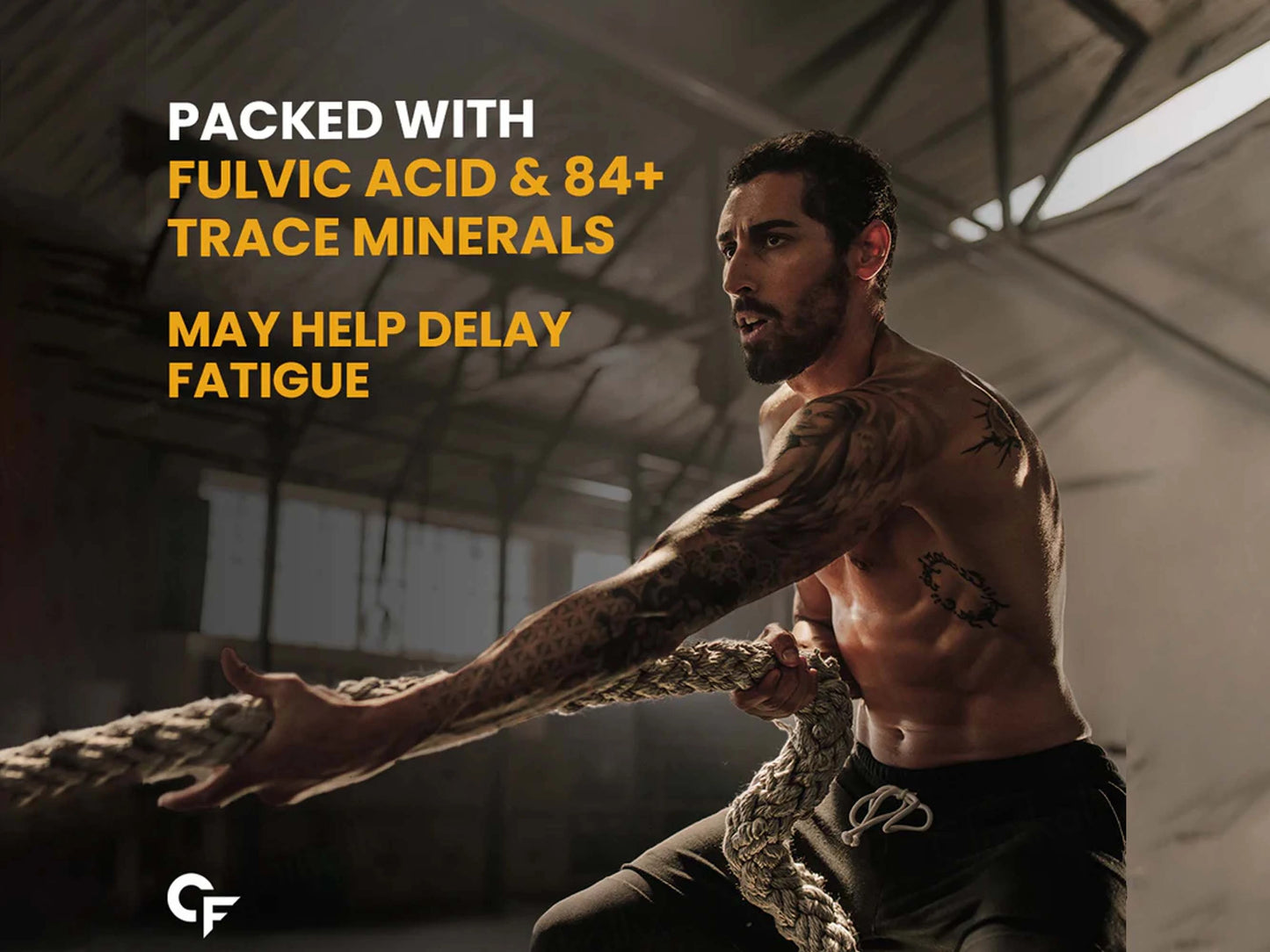 Carbamide Forte Shilajit Gold Capsule