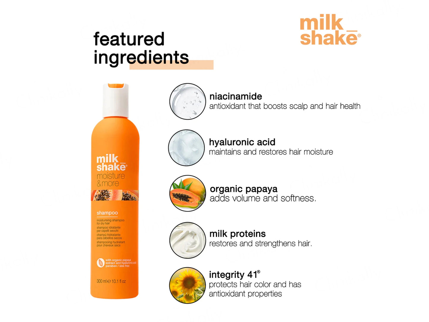Milk Shake Moisture and More Shampoo For Dry Hair