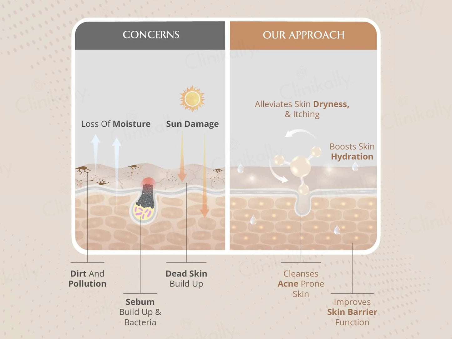 Areoveda Foam Face Wash