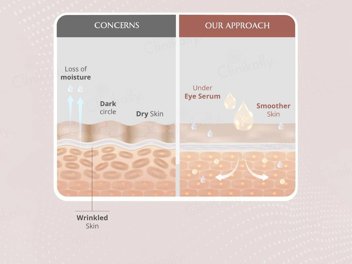Areoveda Under Eye Serum