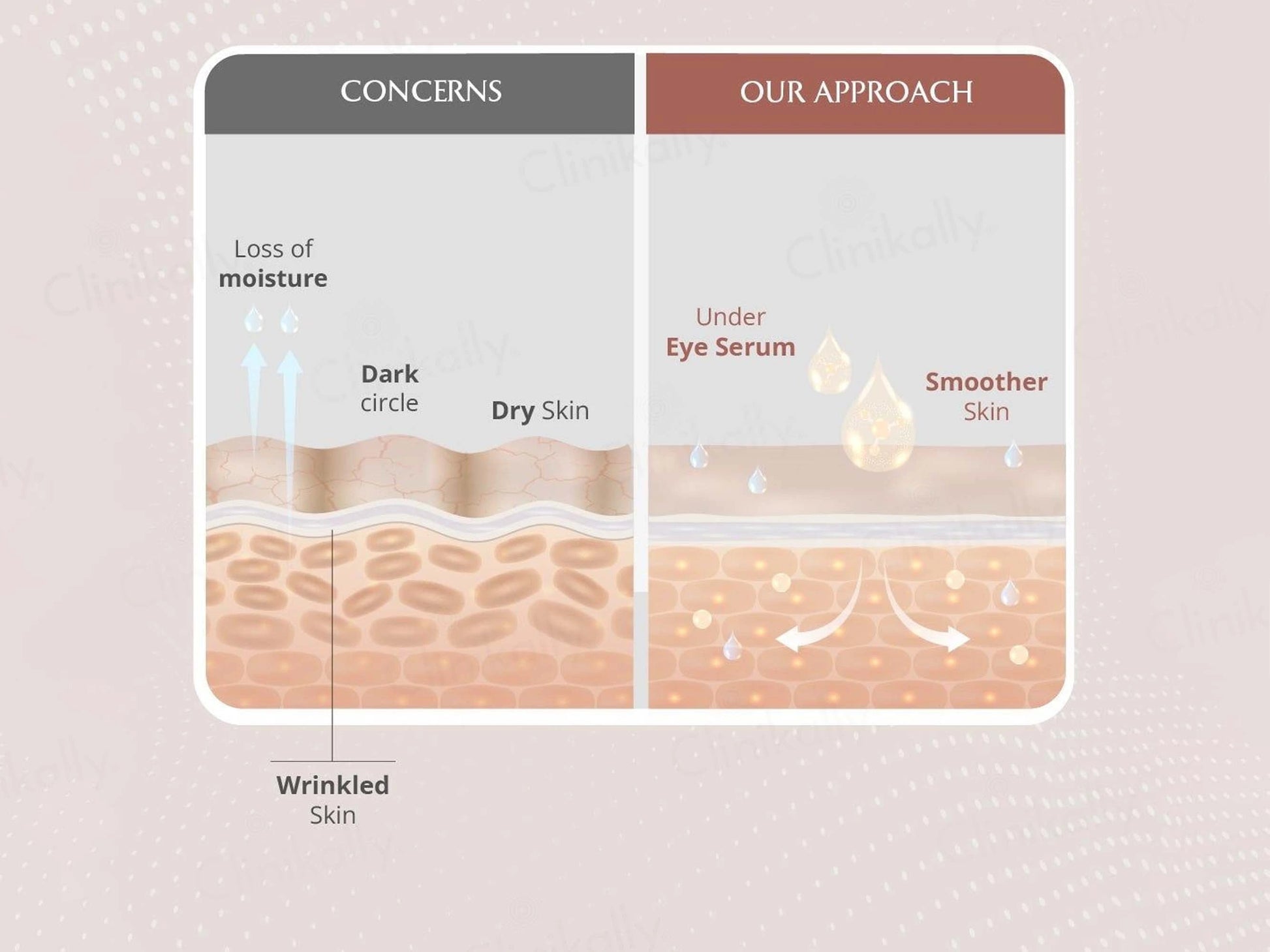 Areoveda Under Eye Serum