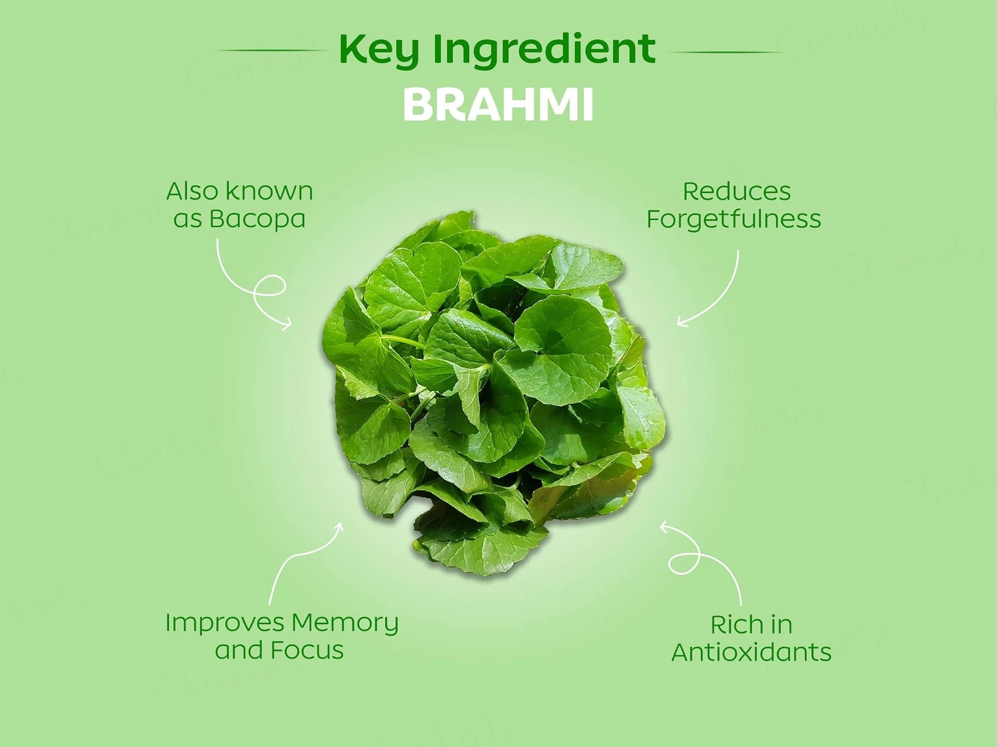 Arth Brain Fog Aid Health Supplement Capsule For Women