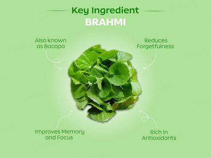 Arth Brain Fog Aid Health Supplement Capsule For Women