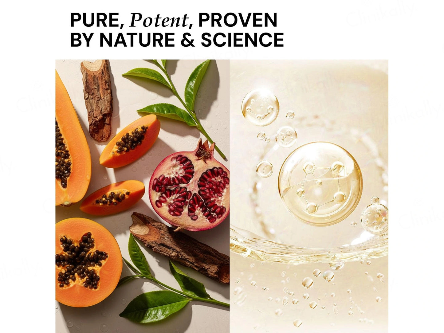 CITTA Ceramides and  White Tea Moisturizer