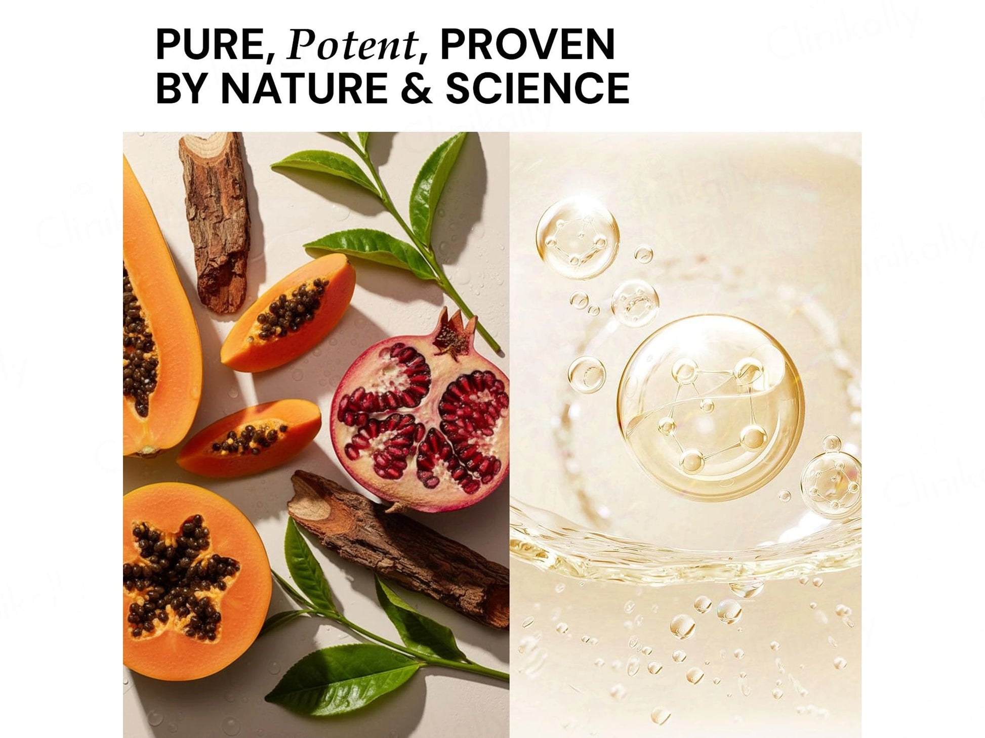 CITTA Ceramides and  White Tea Moisturizer