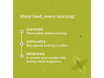 CITTA Refreshing Body Cleanser