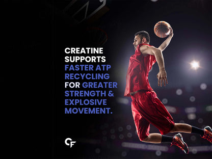 Carbamide Forte Micronised Creatine Monohydrate Powder