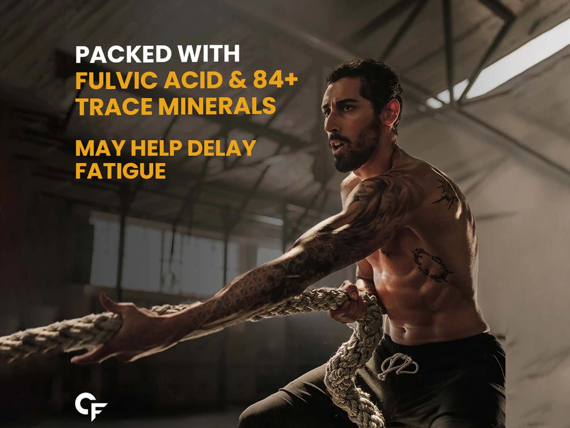 Carbamide Forte Shilajit Gold Capsule