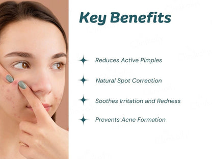 Dermina Fight and  Fade Acne Vanish Gel