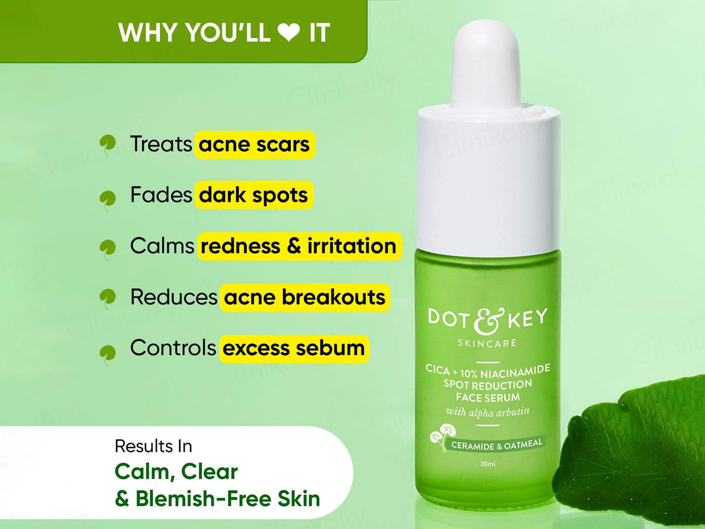 Dot and  Key Cica  10 Percent Niacinamide Spot Reduction Face Serum