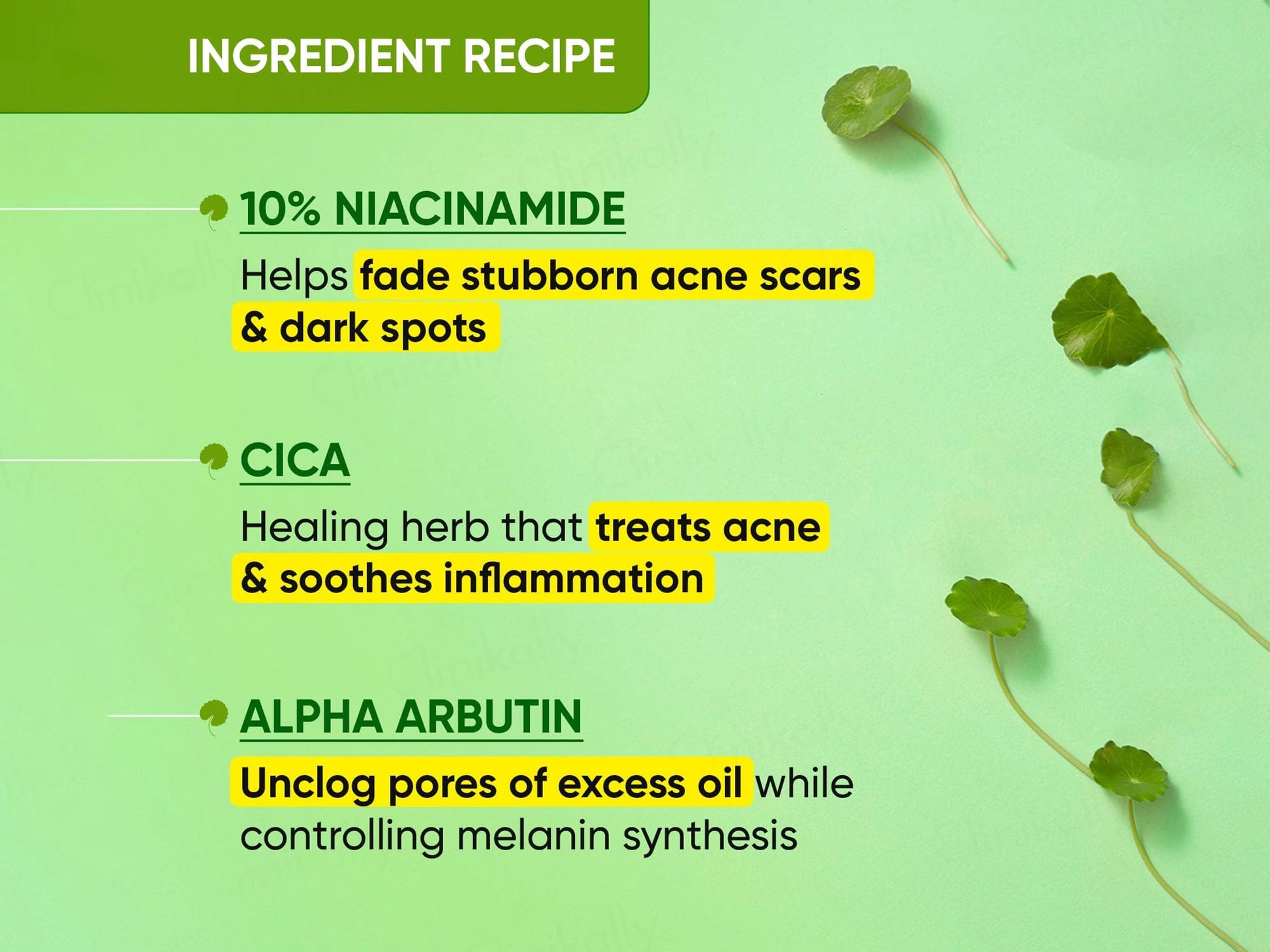 Dot and  Key Cica  10 Percent Niacinamide Spot Reduction Face Serum