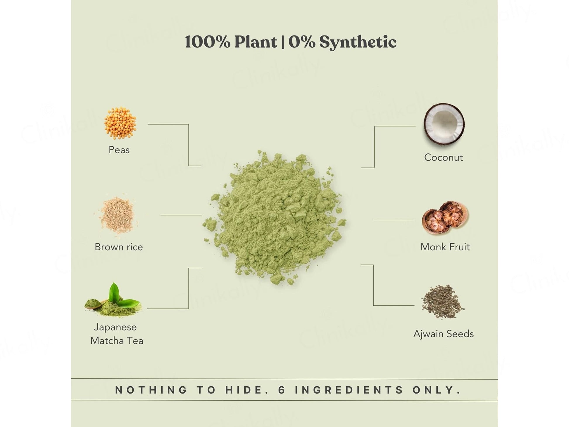 Earthful Honest Plant Protein Nutraceutical Powder
