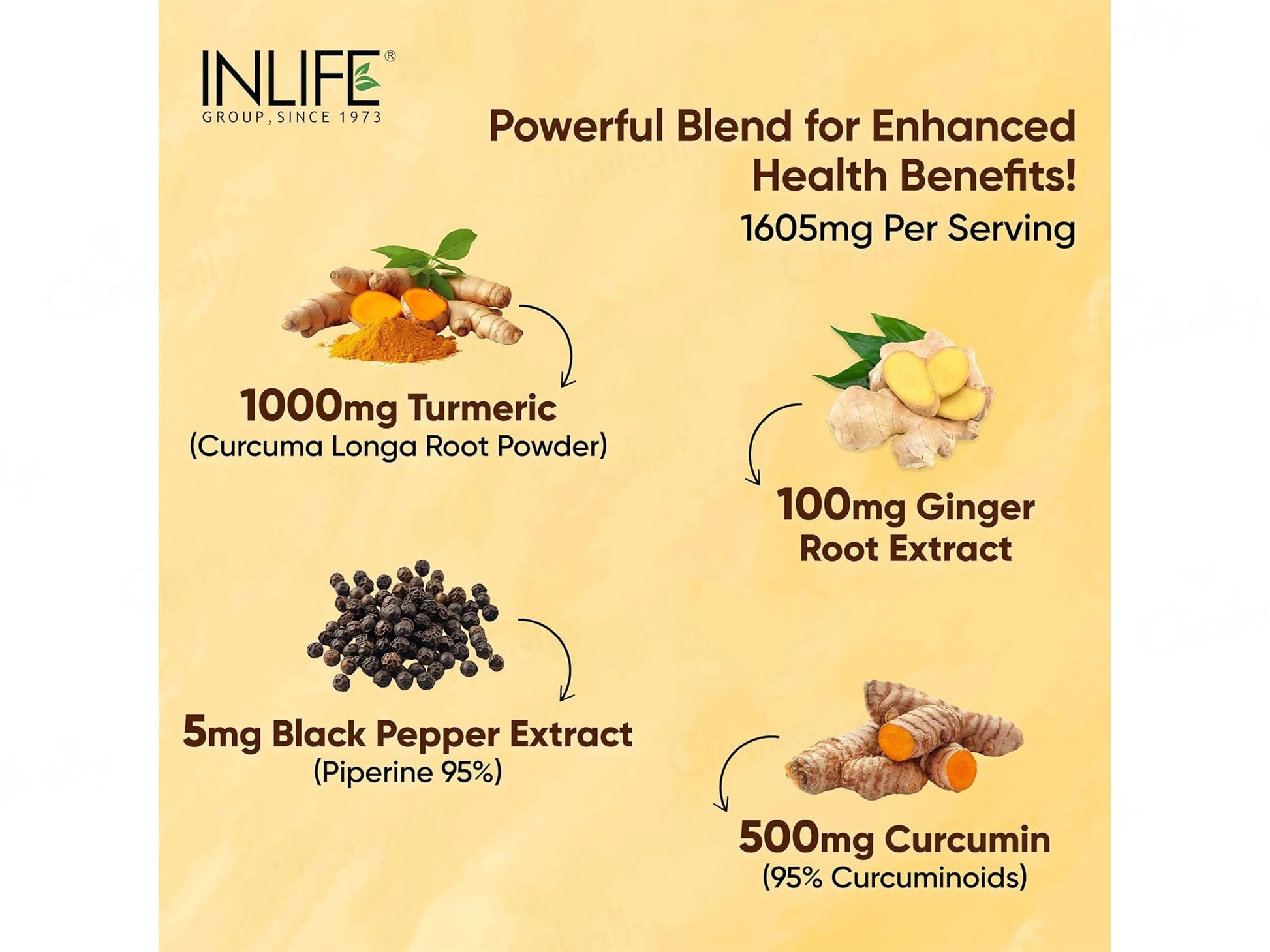 Inlife Turmeric Curcumin 1605mg Nutraceutical Tablet