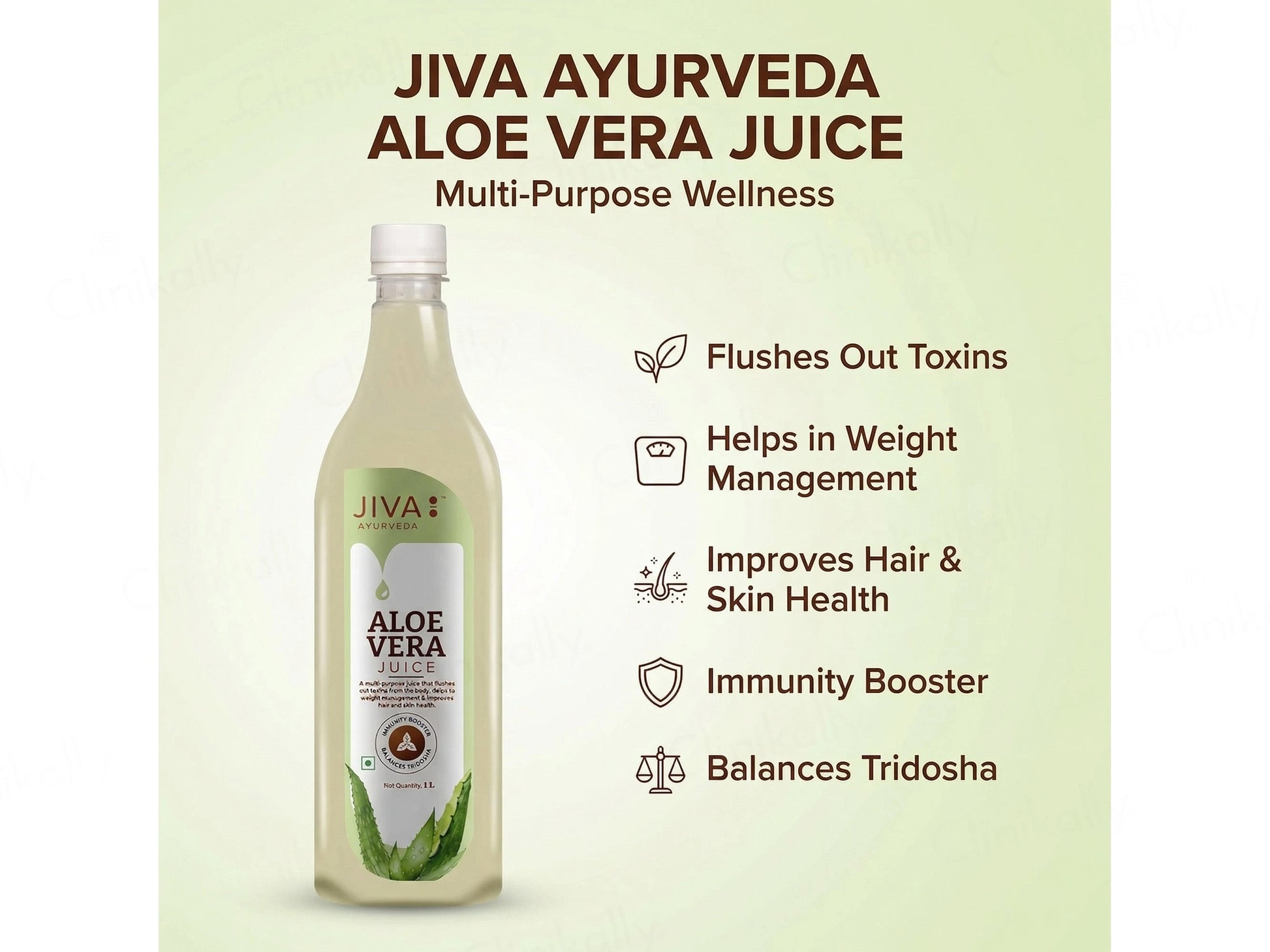 Jiva Ayurveda Aloevera Juice