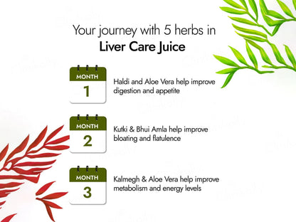 Kapiva Liver Care Juice