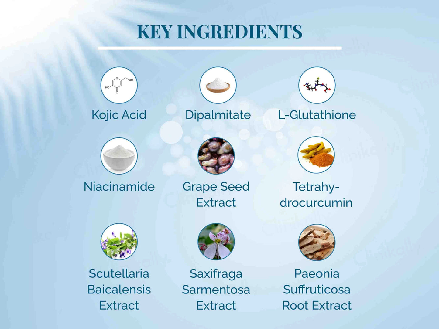 Kojiska Skin Brightening and Radiant Cream
