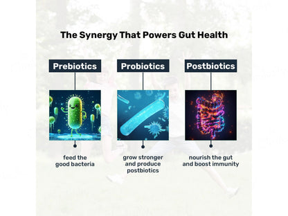 Miduty Probiotics Nutaceutical Powder For Kids