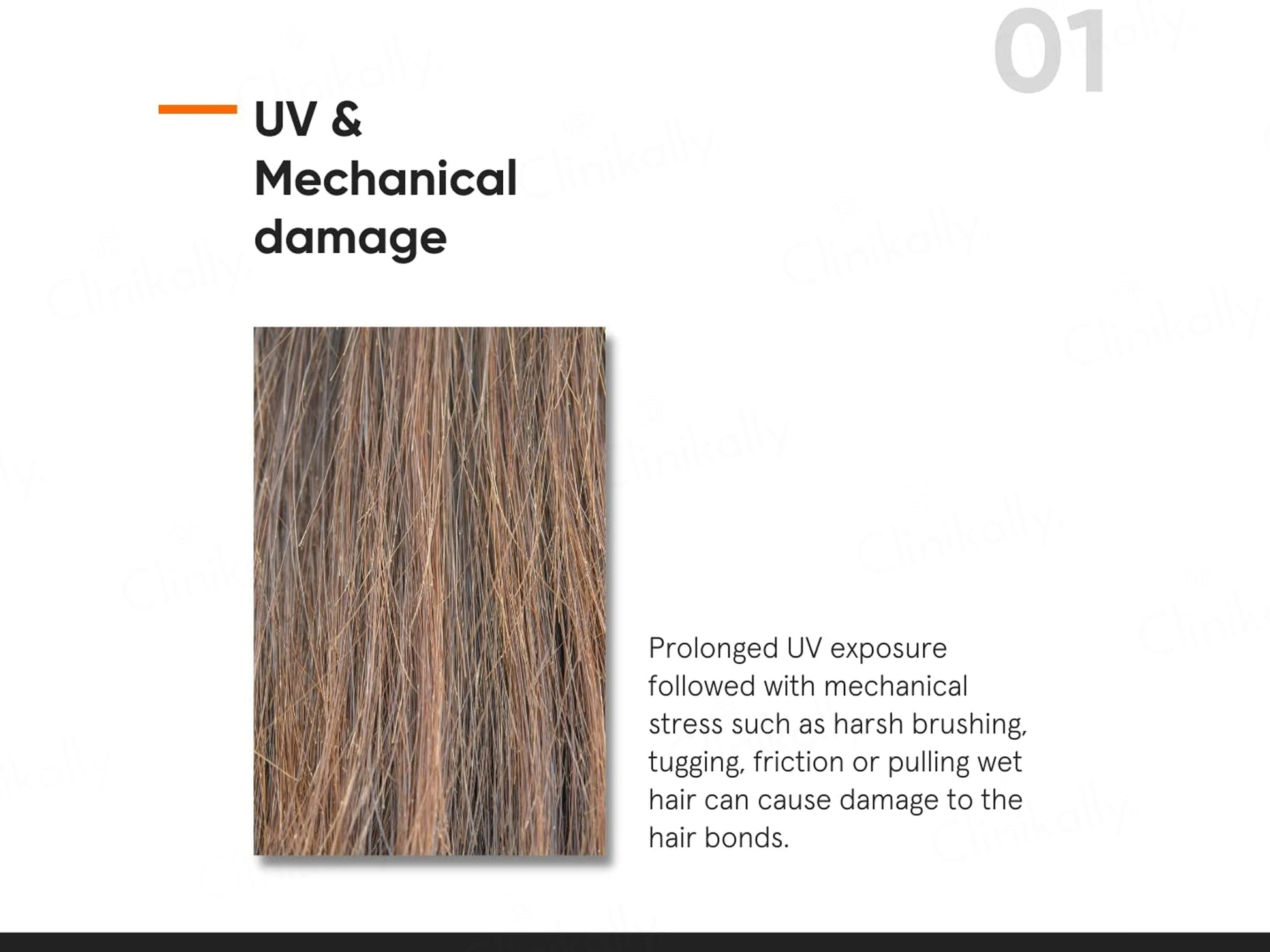 Minimalist 5 Percent Maleic Bond Repair Complex Hair Serum