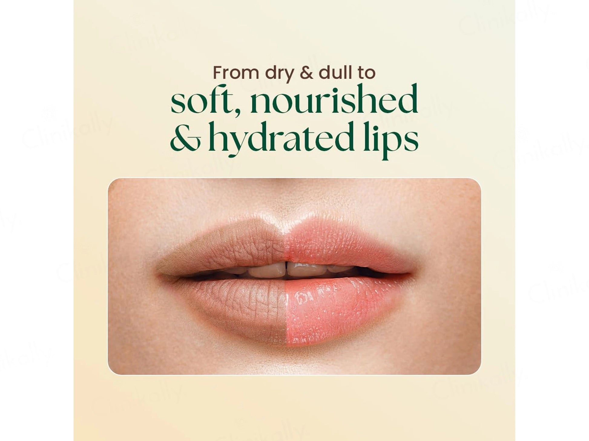 Moha: Nourishing and  Hydrating Lip Butter