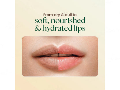 Moha: Nourishing and  Hydrating Lip Butter