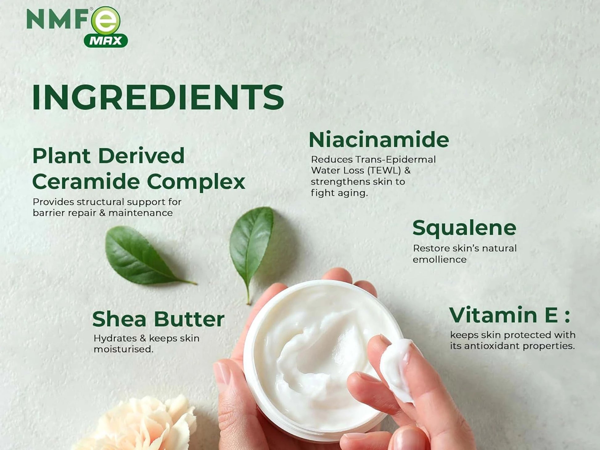NMFe Max Skin Cream For Dry and  Sensitive Skin