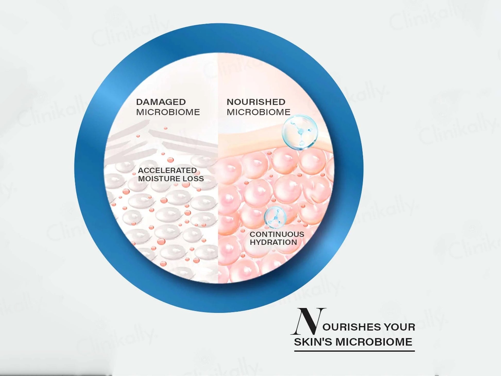 Novology Moisture Barrier Booster Serum
