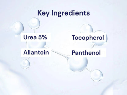 Numis Med Urea 5 Percent Every Day Shampoo For Extremely Dry Skin