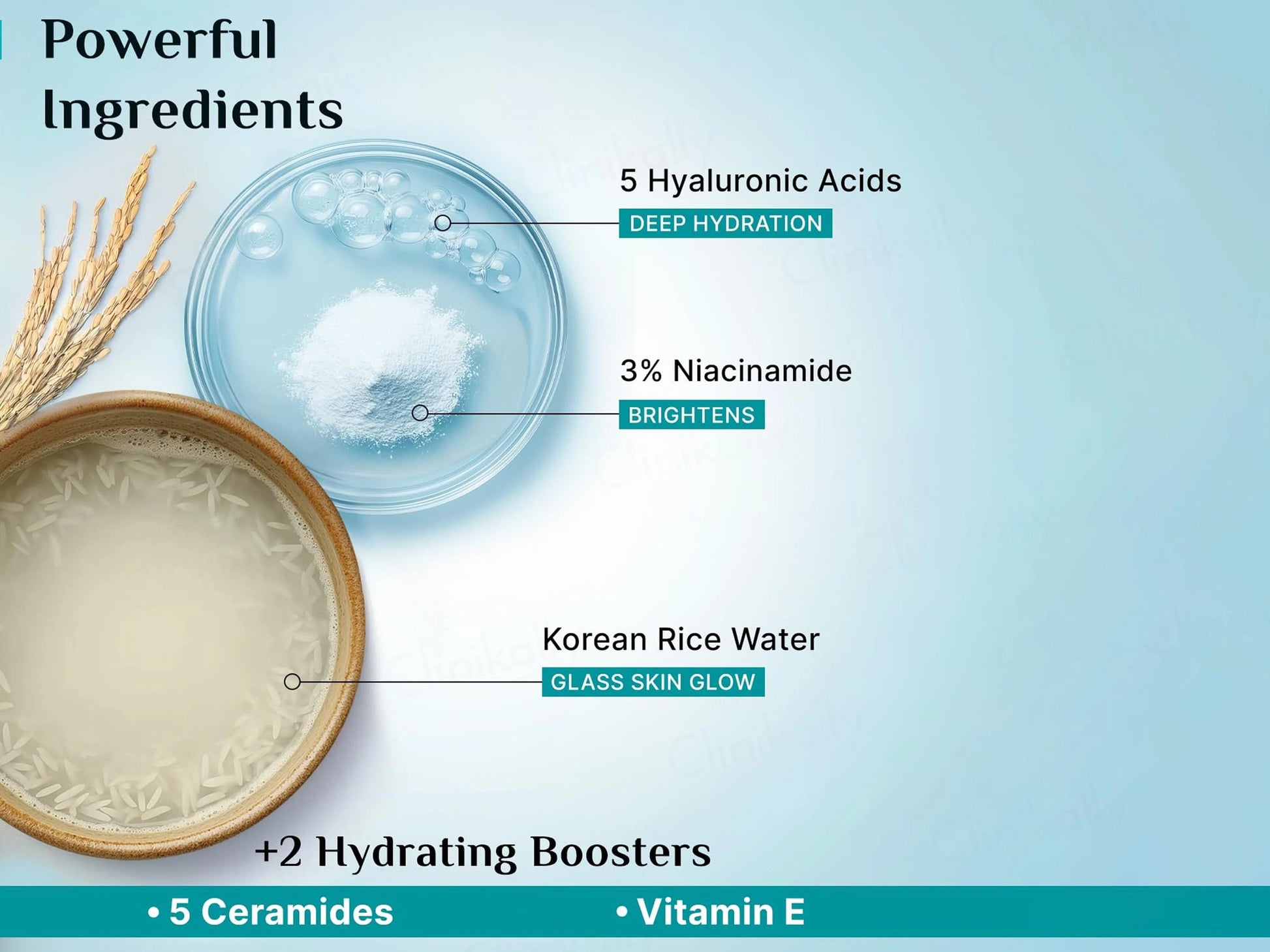 Pilgrim Korean Rice Water Hydra Glow Light Gel Cream Moisturizer