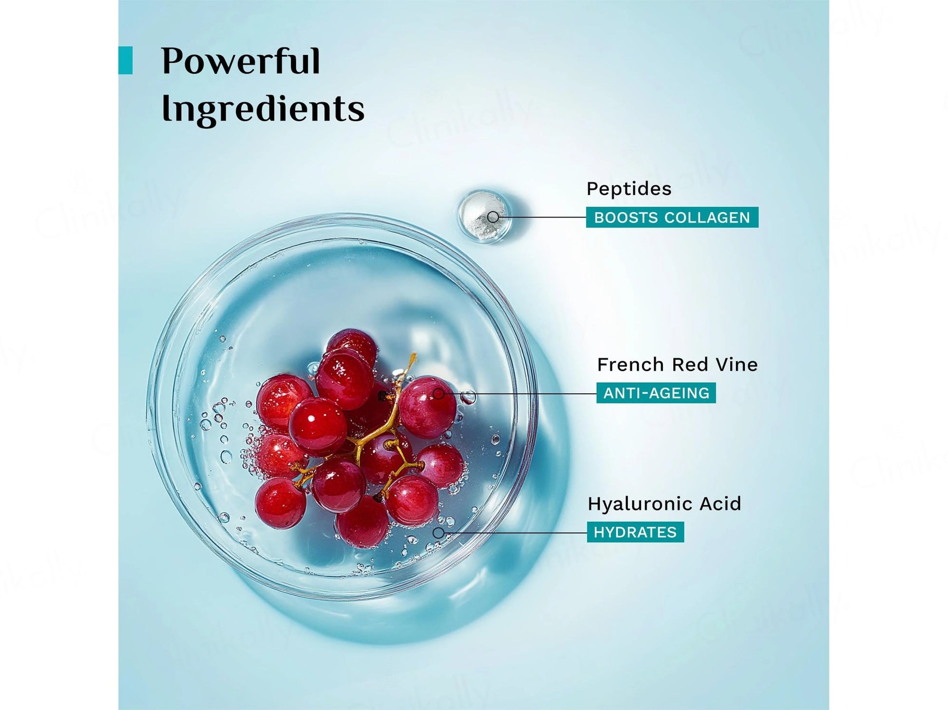 Pilgrim Red Vine Face Serum