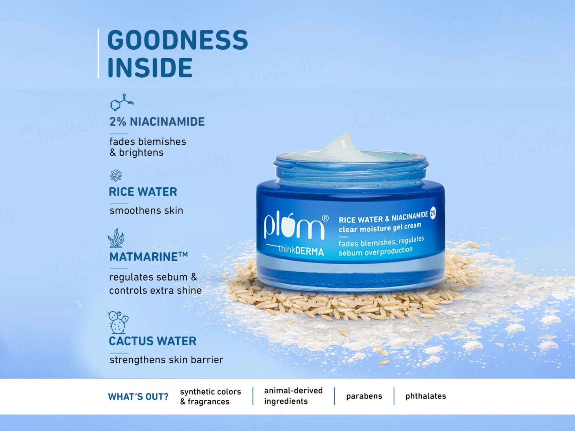 Plum 2 Percent Niacinamide Clear Moisture Gel Cream With Rice Water