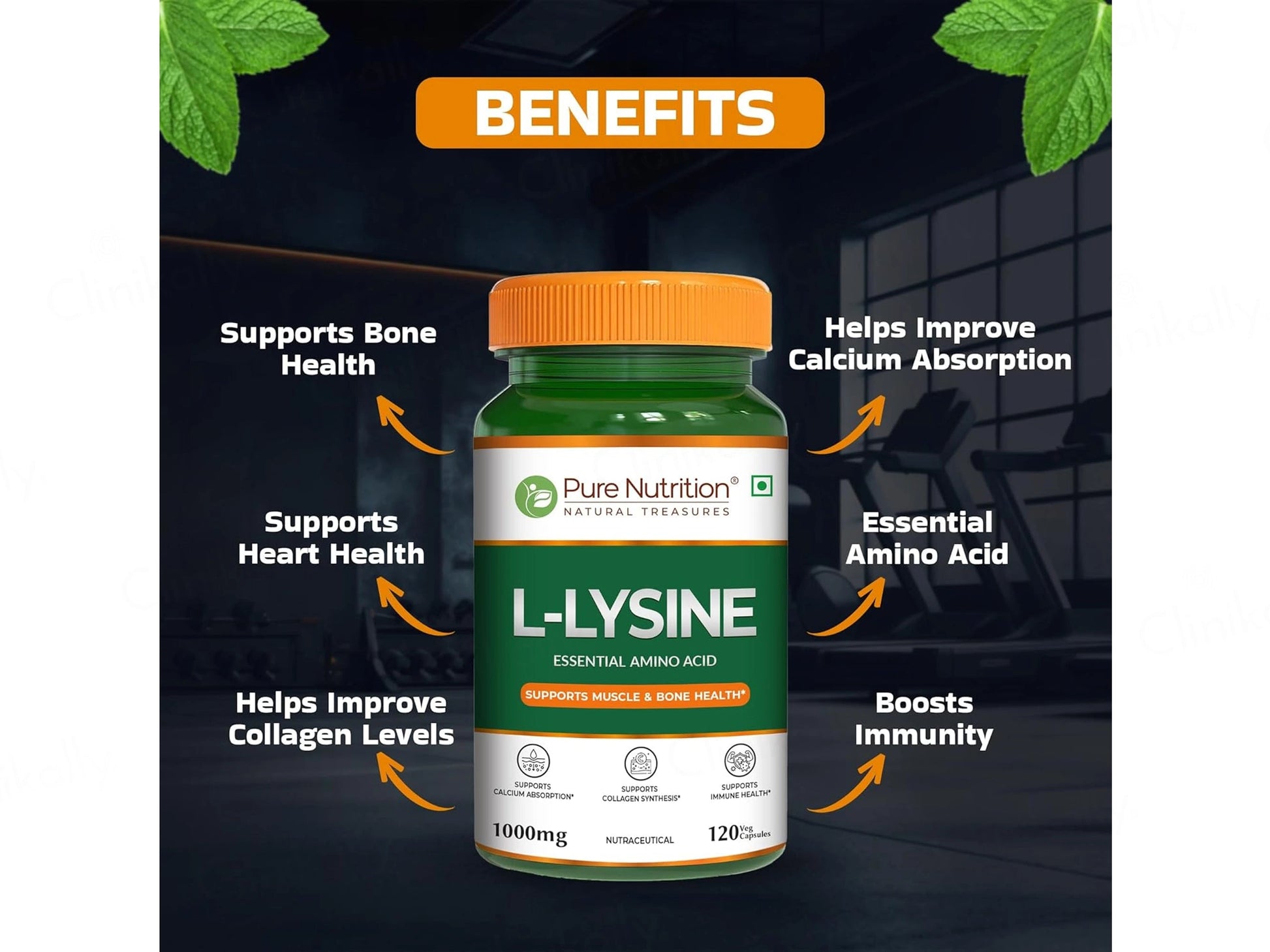 Pure Nutrition L-Lysine 1000mg Veg Capsule