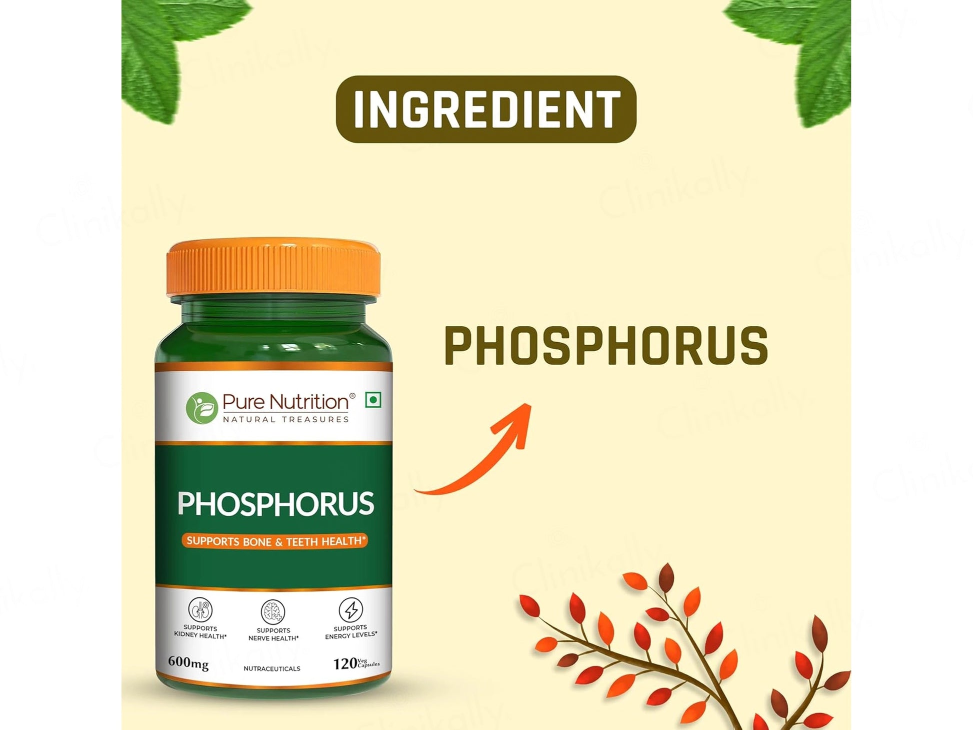 Pure Nutrition Phosphorus 600mg Veg Capsule