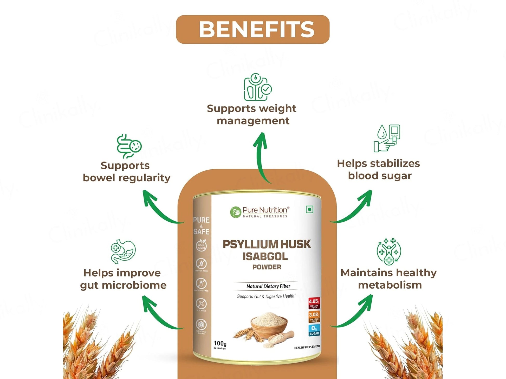 Pure Nutrition Psyllium Husk Isabgol Powder