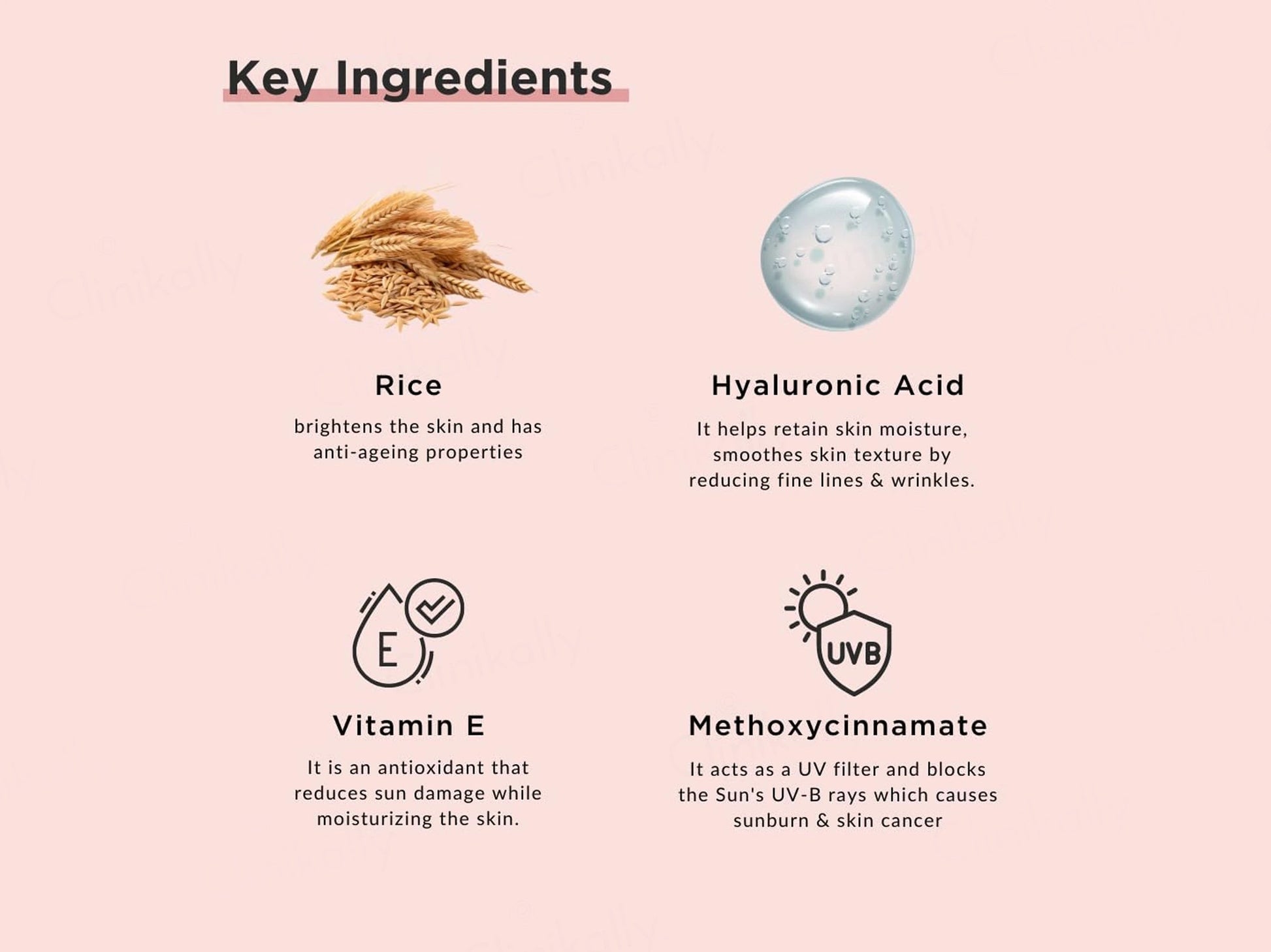 RiceKraft Rice and  Hyaluronic Acid Sunscreen SPF 50 PA