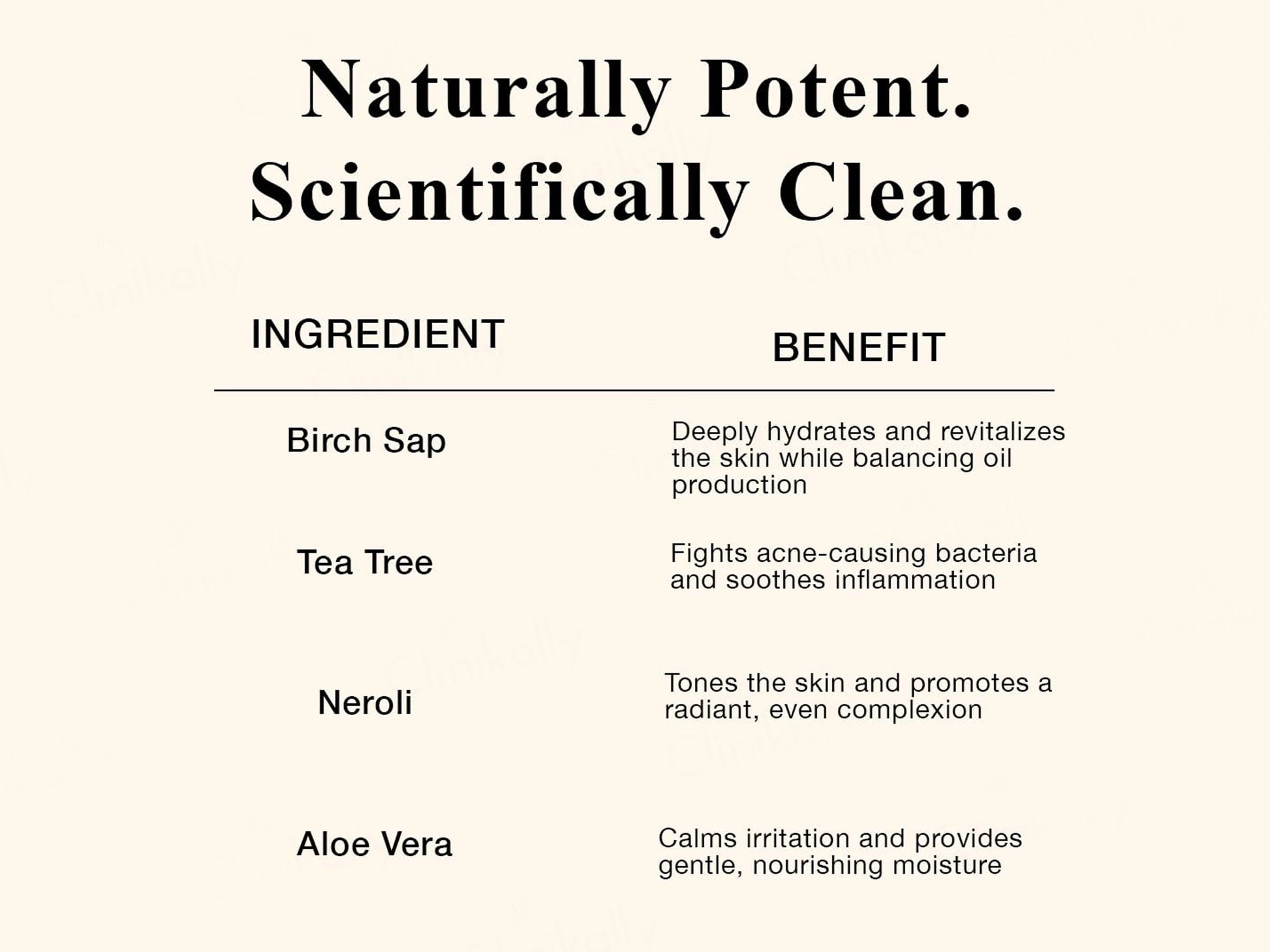 SKOG FC Birch Sap Facial Cleanser