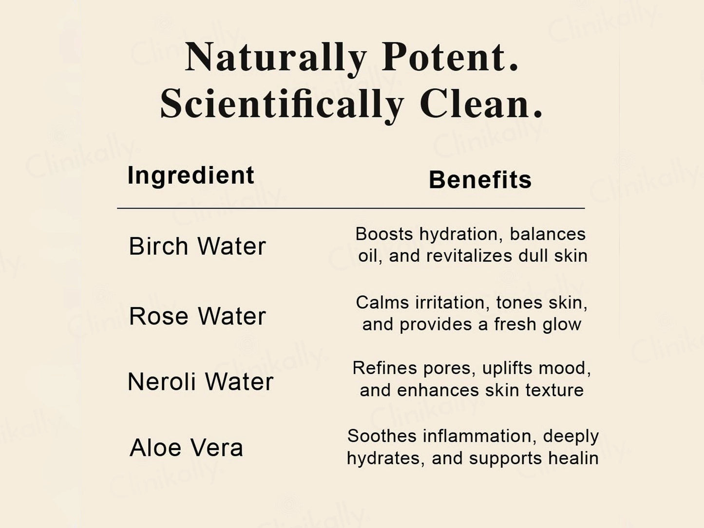SKOG FT Birch Sap Facial Tonic Mist