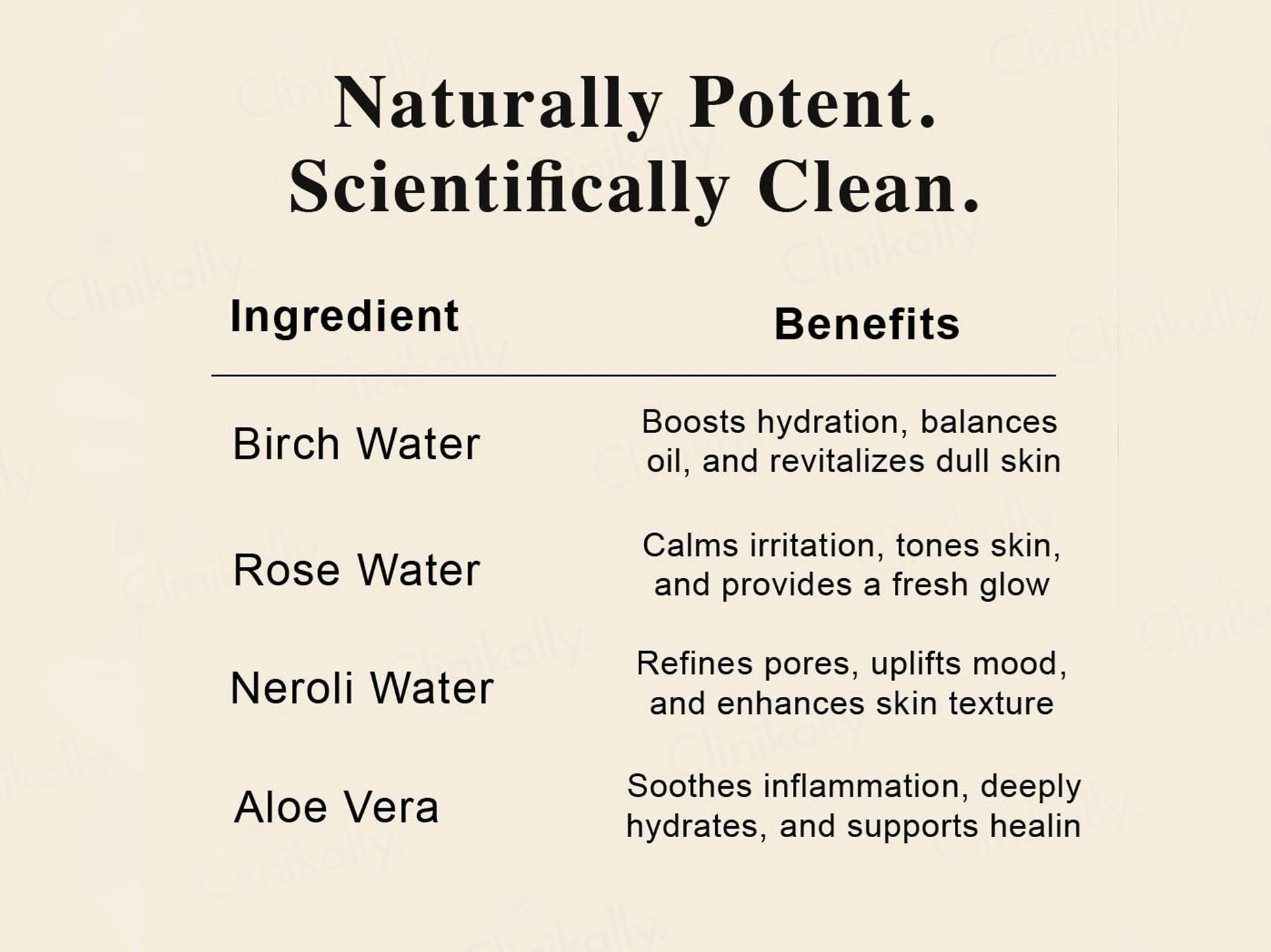 SKOG FT Birch Sap Facial Tonic Mist