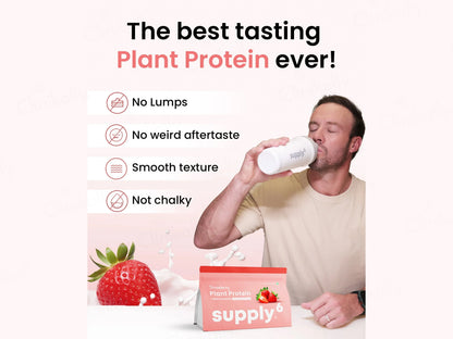 Supply6 Fiber and  Probiotics Plant Protein Powder