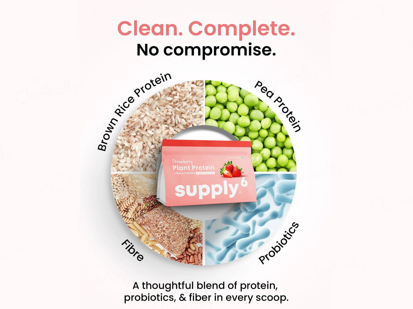 Supply6 Fiber and  Probiotics Plant Protein Powder