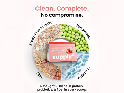 Supply6 Fiber and  Probiotics Plant Protein Powder