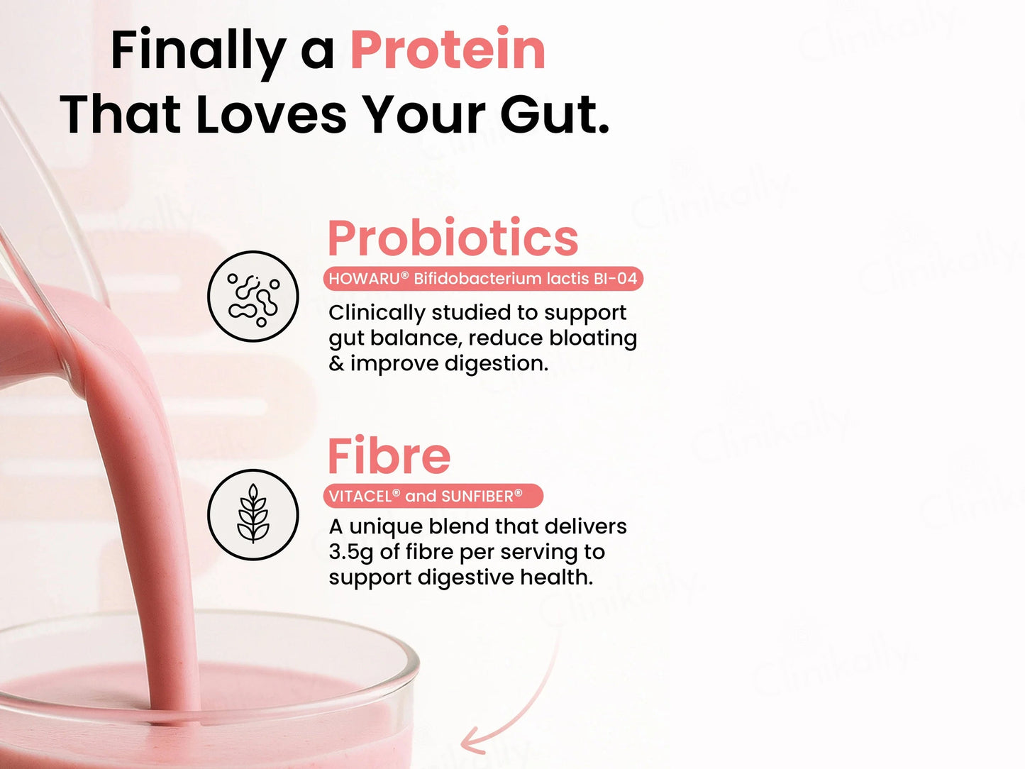 Supply6 Fiber and  Probiotics Plant Protein Powder