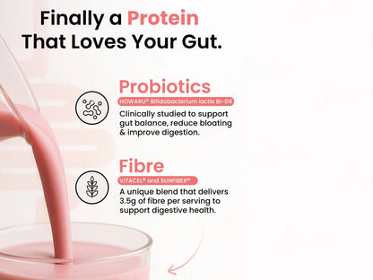 Supply6 Fiber and  Probiotics Plant Protein Powder