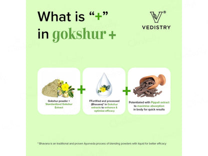 Vedistry Gokshur Ayurvedic Tablet