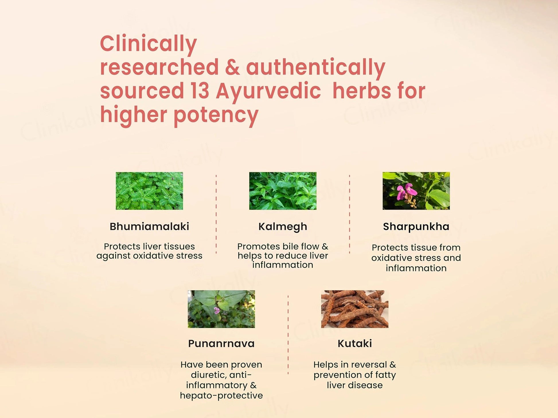 Vedistry Liver Care Ayurvedic Tablet