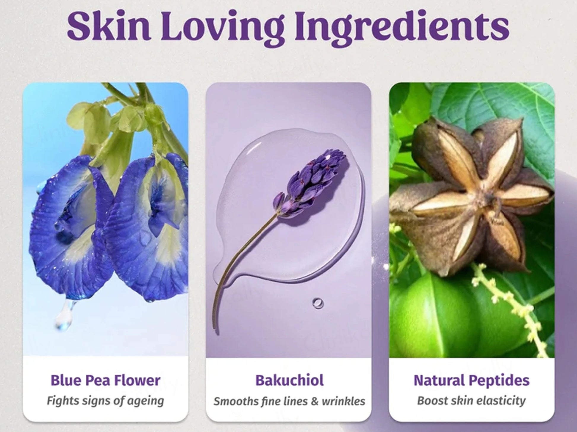 Vilvah Store Better Ageing Overnight Skin Renewal Face Serum