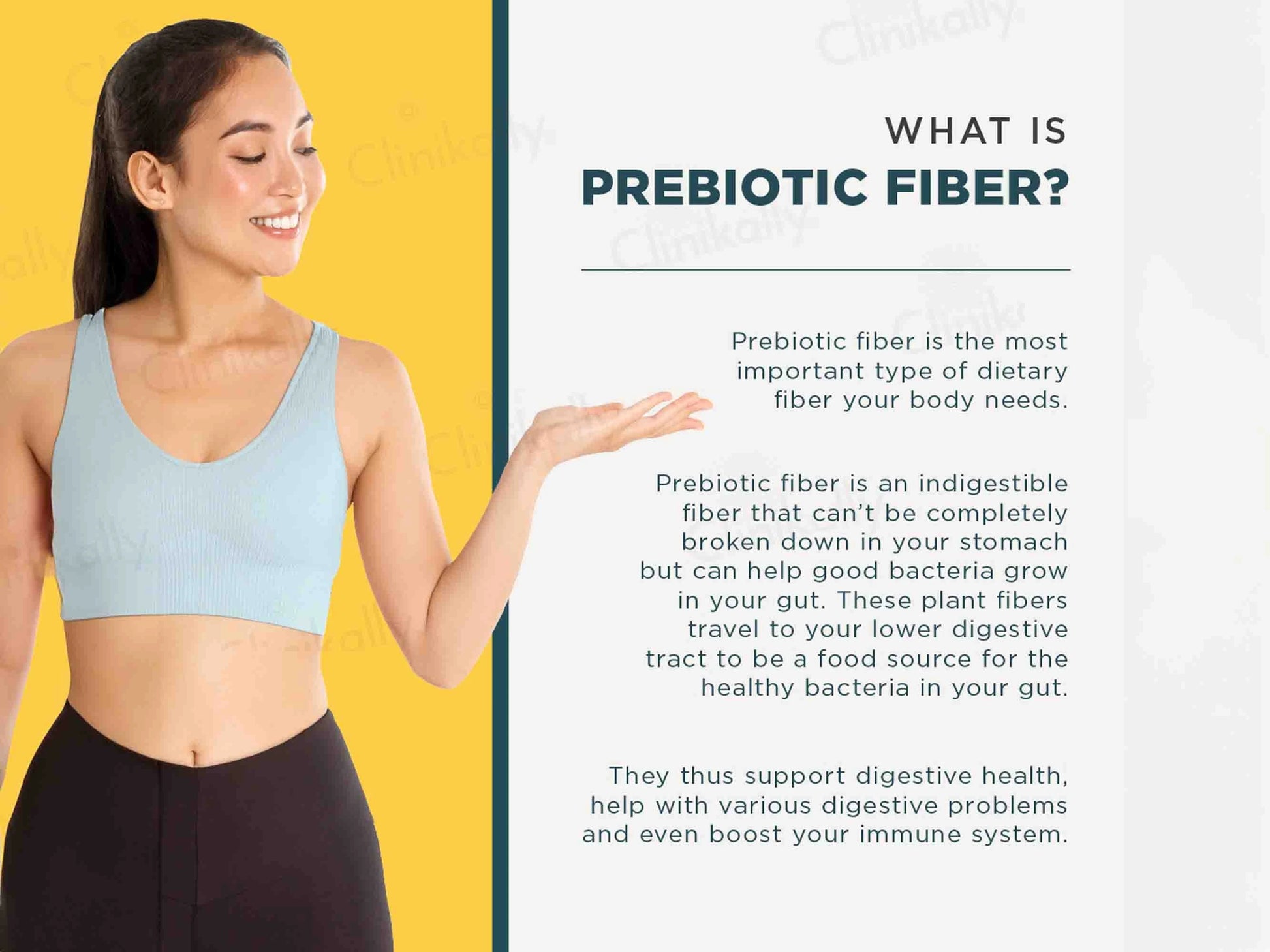 Wellbeing Nutrition Daily Fiber Powder