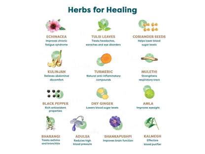 Wellbeing Nutrition Grandma's Kadha Herbal Tablet