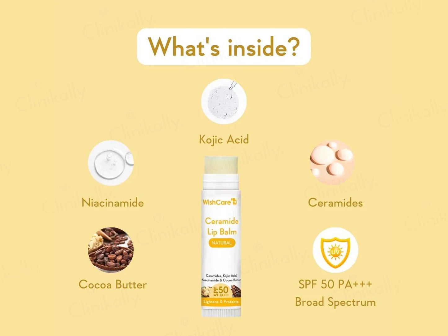 WishCare Ceramide Lip Balm - Natural SPF 50 PA