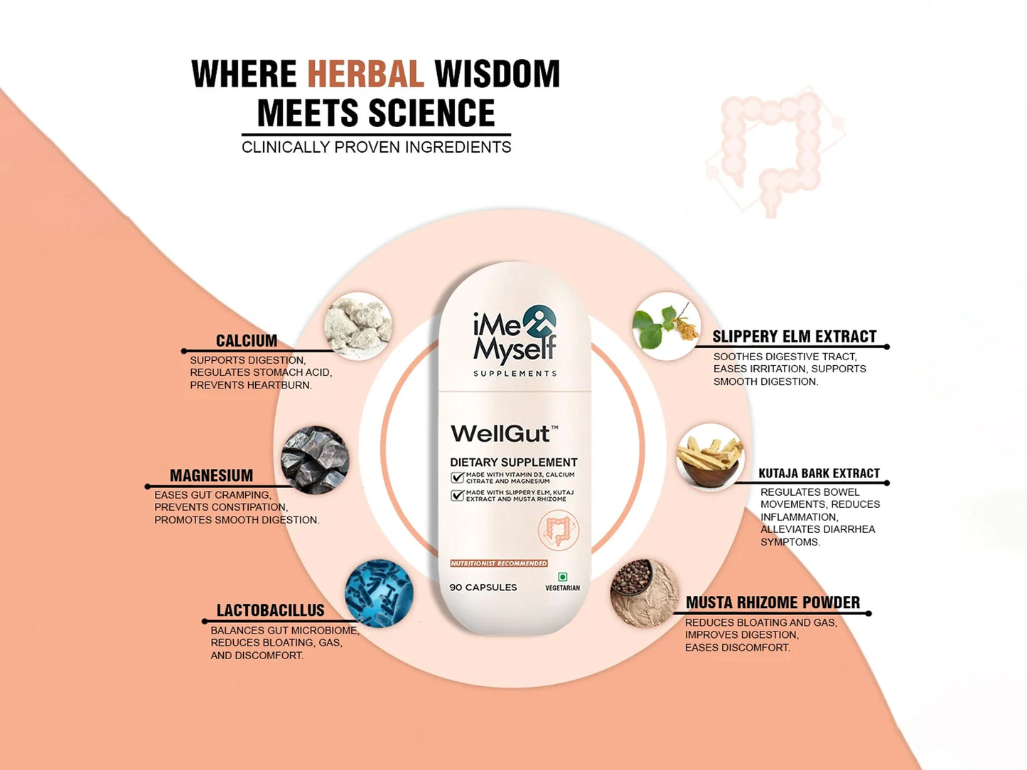 iMeMyself Well Gut Dietary Supplement Vegetarian Capsule