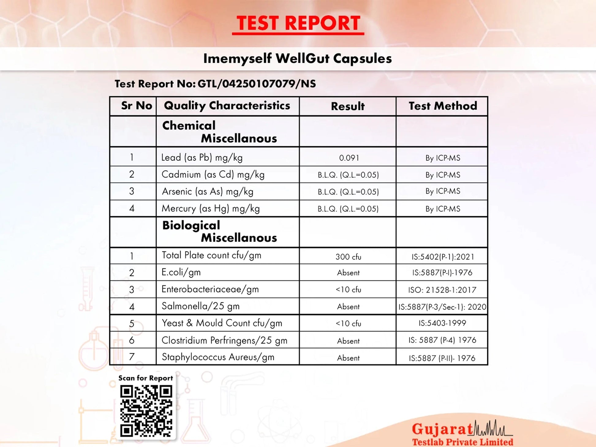 iMeMyself Well Gut Dietary Supplement Vegetarian Capsule